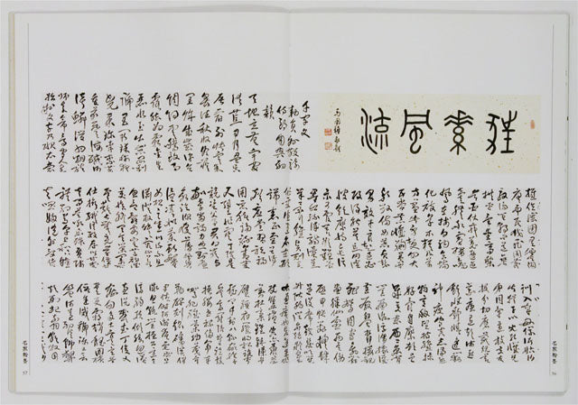 C7 黃賓虹 / 草書千字文