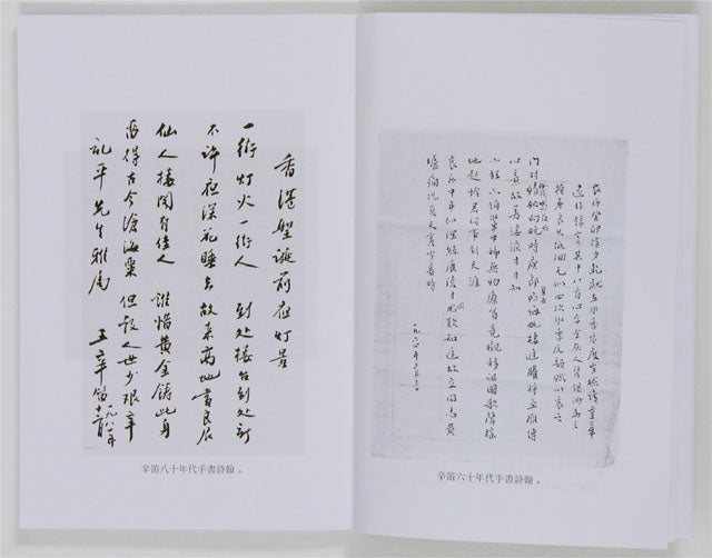 SN2 A Collection of Chinese Poems by Wang Xindi