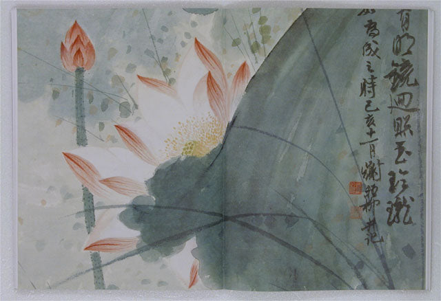 HM7 – Monograph on Lotus Paintings