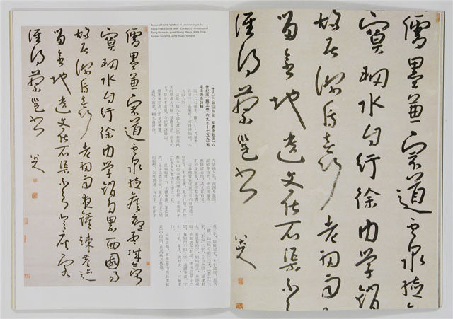 C10 Bada Shanren – Volume of Calligraphy (II)