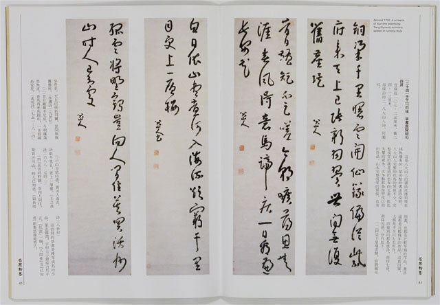 C10 Bada Shanren – Volume of Calligraphy (II)