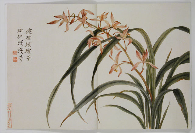 HM23 – Special Study on Orchid Paintings