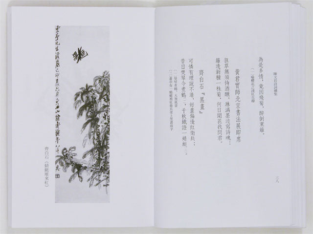 RN3 A Collection of Chinese Poems by M.K. Chan – Volume II