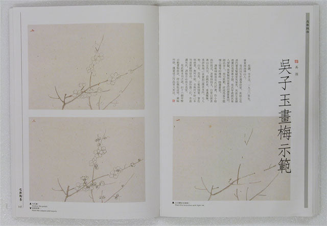 HM12 – Monograph on Plum Blossom Paintings